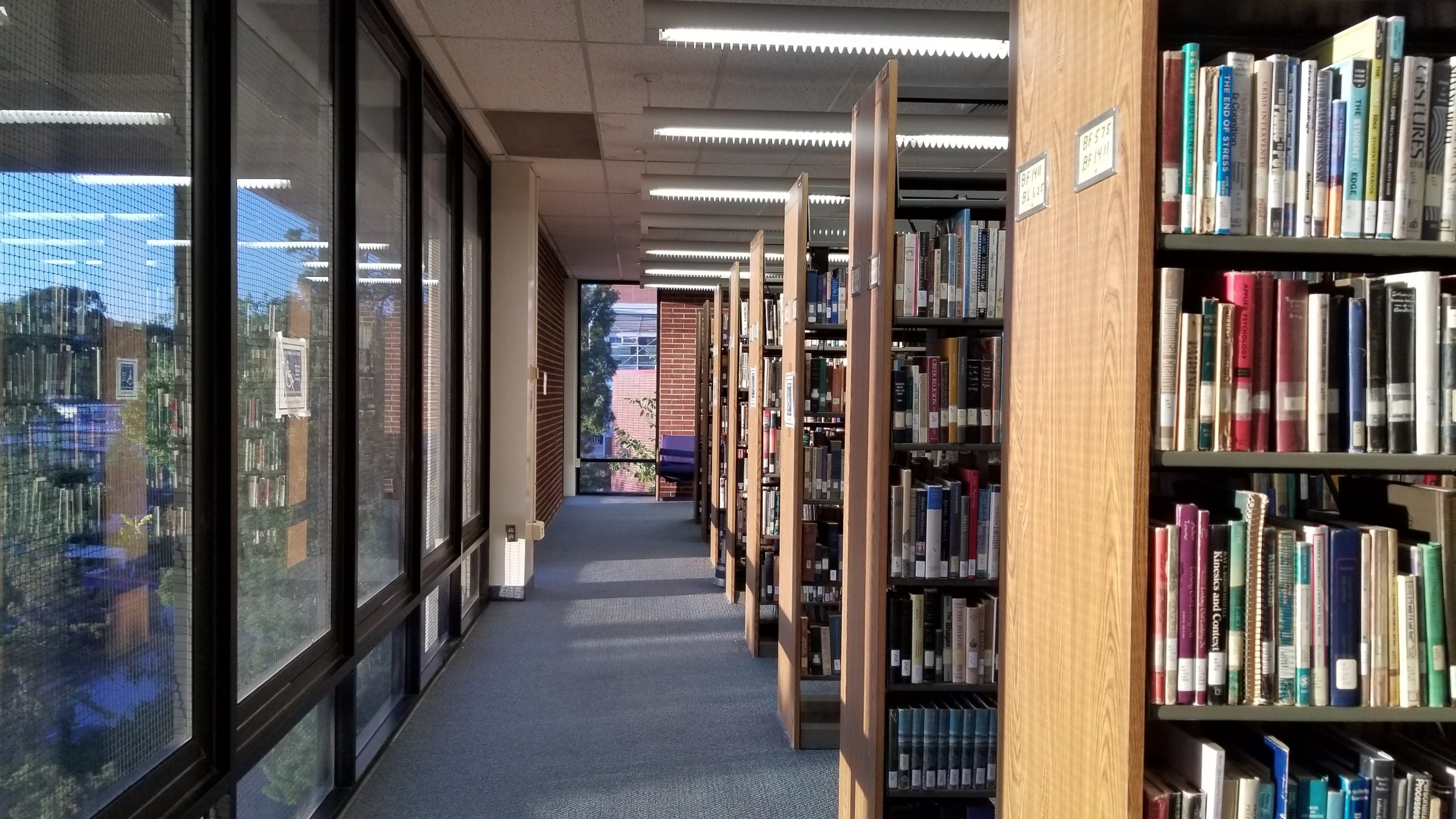 Bookshelves in a library by a wall of windows